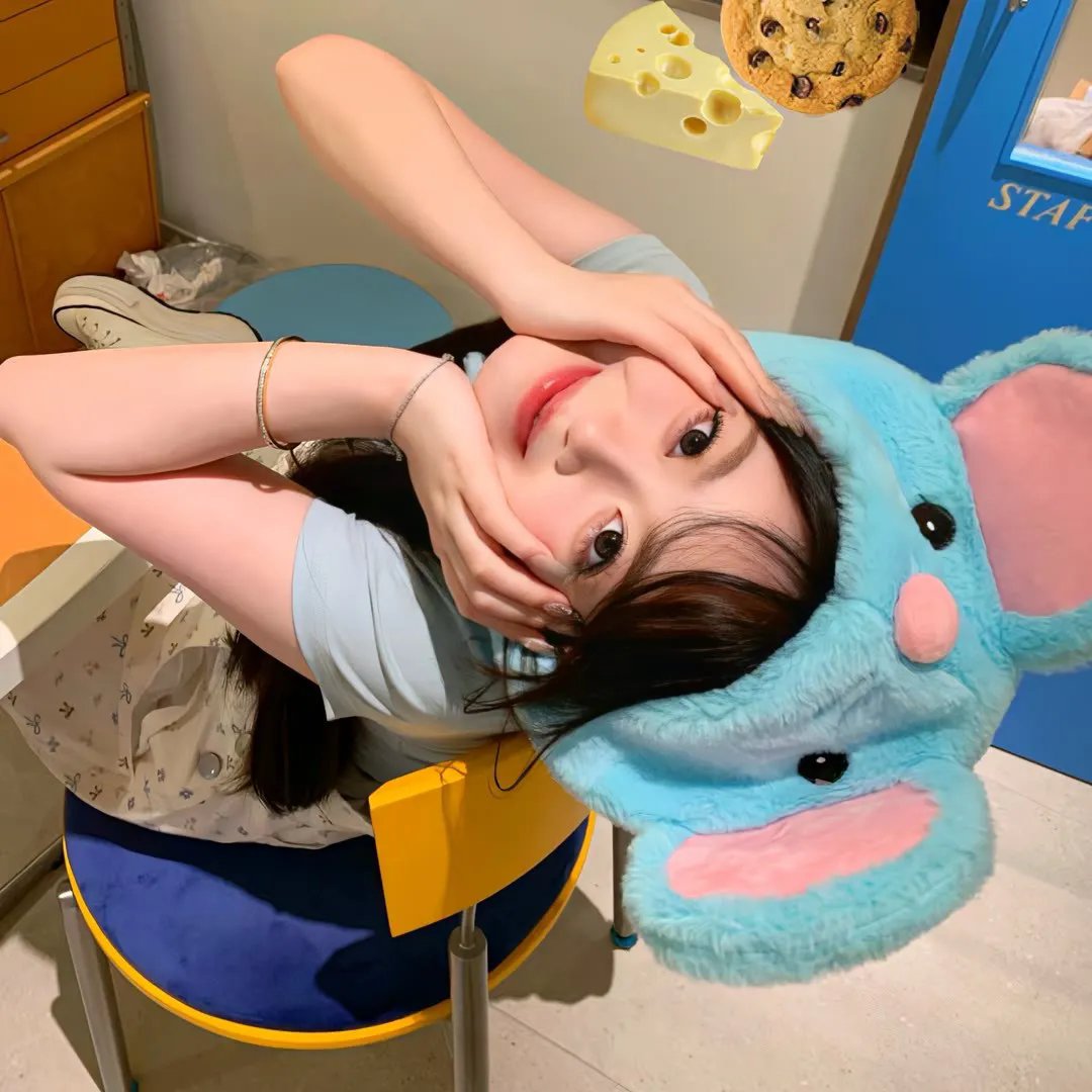 生命之环